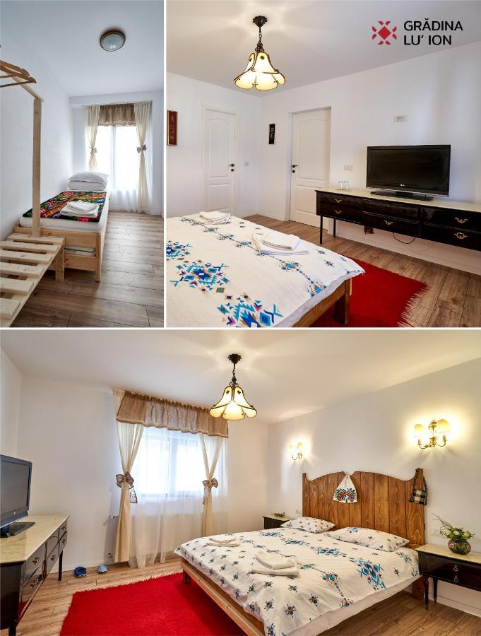 Gradina Lu' Ion "A Home Away From Home" (Adults Only) Viseu de Sus Exterior photo