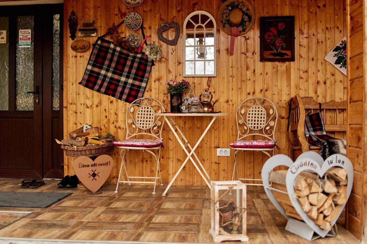 Gradina Lu' Ion "A Home Away From Home" (Adults Only) Viseu de Sus Exterior photo